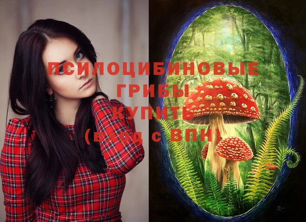 шишки Алексеевка