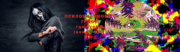 шишки Алексеевка