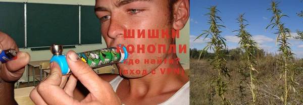 гашиш Касимов